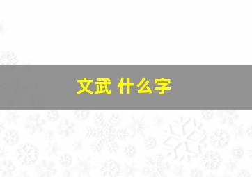 文武 什么字